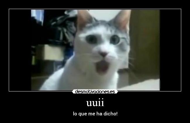 uuii - lo que me ha dicho!