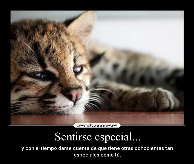 Sentirse especial... - 