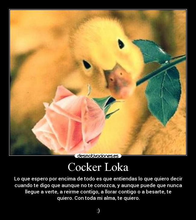 Cocker Loka - Lo que espero por encima de todo es que entiendas lo que quiero decir
cuando te digo que aunque no te conozca, y aunque puede que nunca
llegue a verte, a reirme contigo, a llorar contigo o a besarte, te
quiero. Con toda mi alma, te quiero.

:)