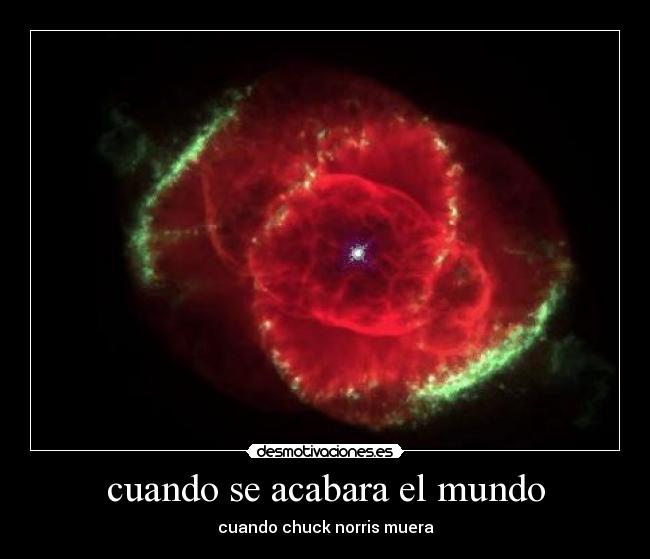 cuando se acabara el mundo - cuando chuck norris muera