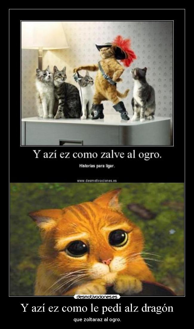 Y azí ez como le pedi alz dragón -