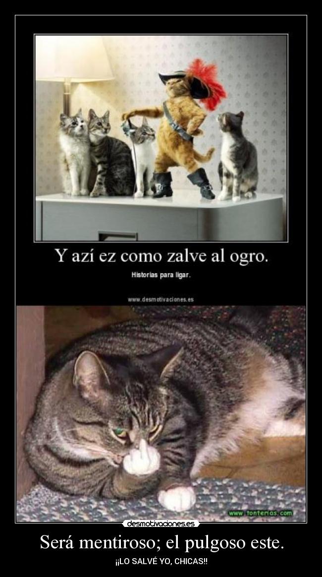 Será mentiroso; el pulgoso este. - ¡¡LO SALVÉ YO, CHICAS!!