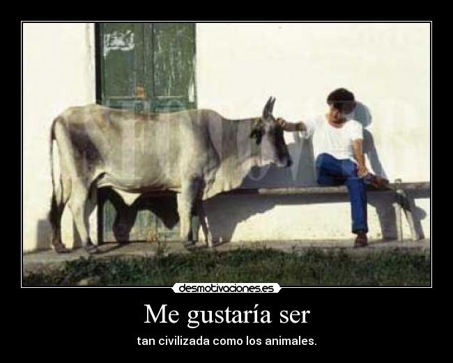 Me gustaría ser - tan civilizada como los animales.
