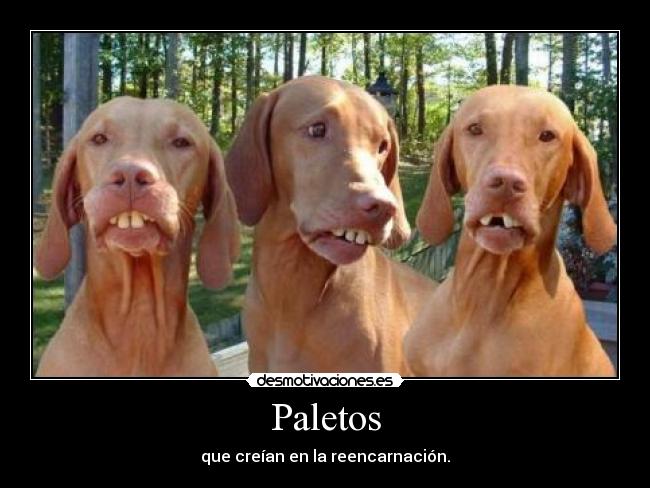 Paletos - que creían en la reencarnación.