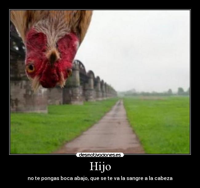 Hijo - 