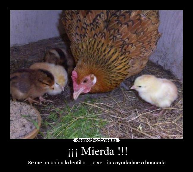 ¡¡¡ Mierda !!! - 