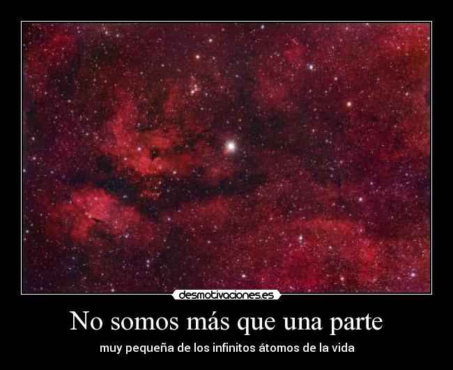 No somos más que una parte - muy pequeña de los infinitos átomos de la vida