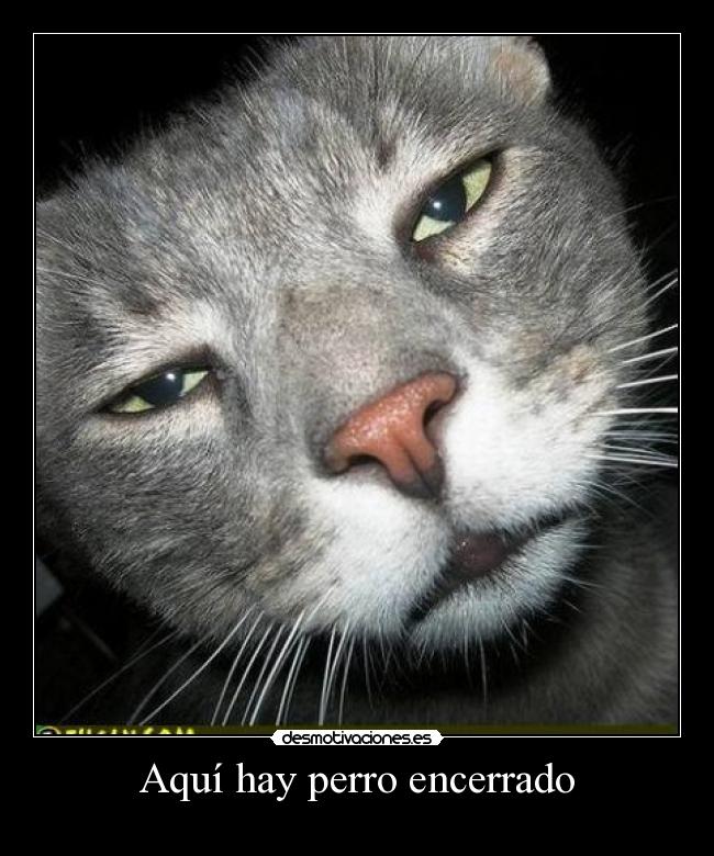Aquí hay perro encerrado -