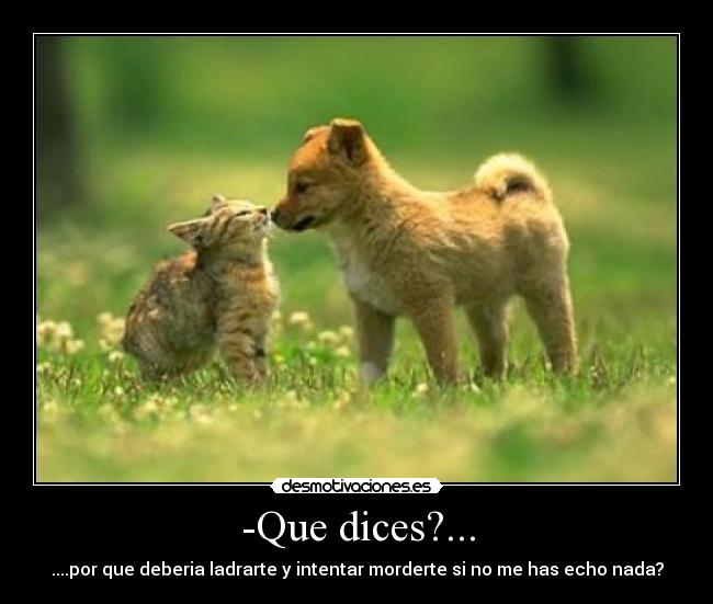 -Que dices?... -