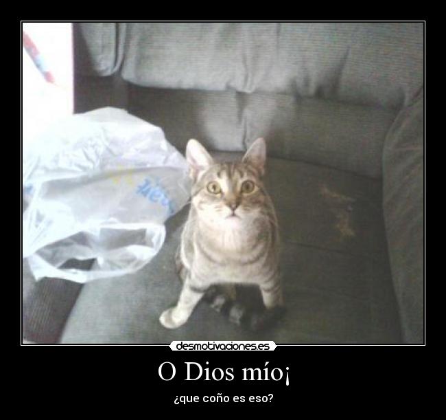 O Dios mío¡ - ¿que coño es eso?