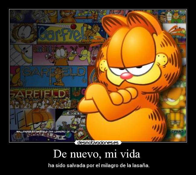 De nuevo, mi vida  -  ha sido salvada por el milagro de la lasaña.