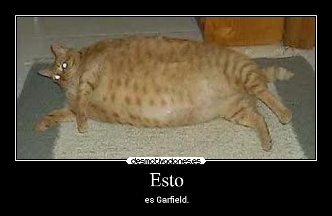 Esto - es Garfield.