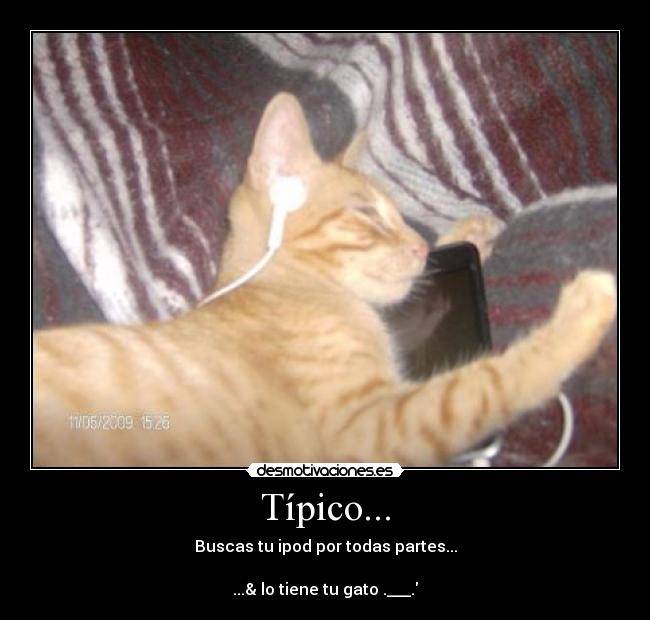 Típico... -