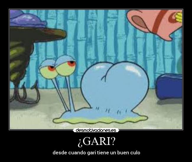 ¿GARI? - 