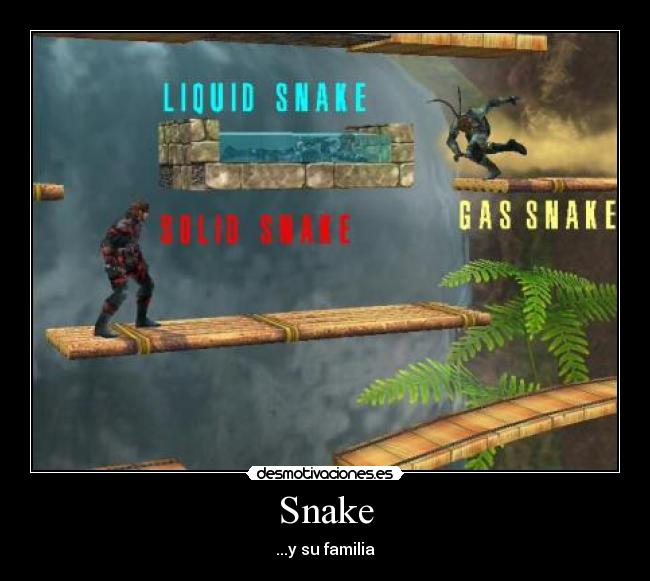 Snake -