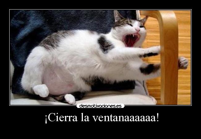 carteles hvgcf desmotivaciones