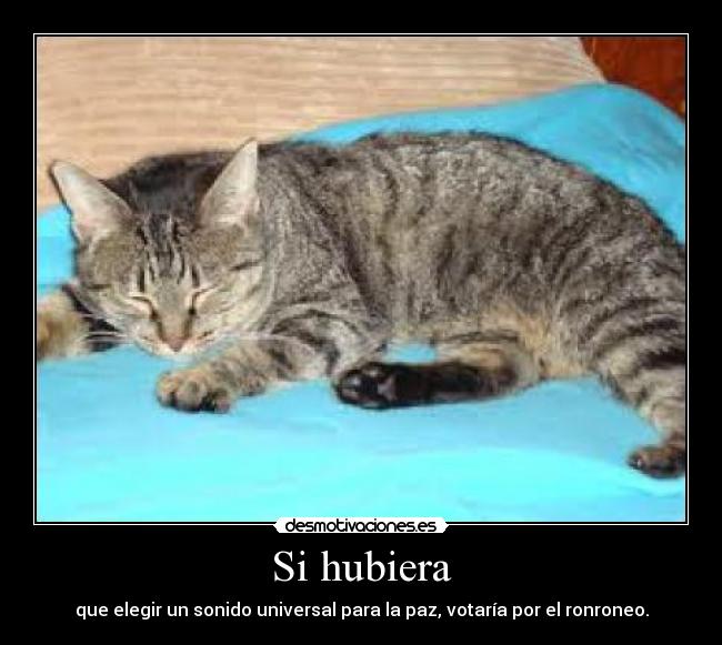 Si hubiera -