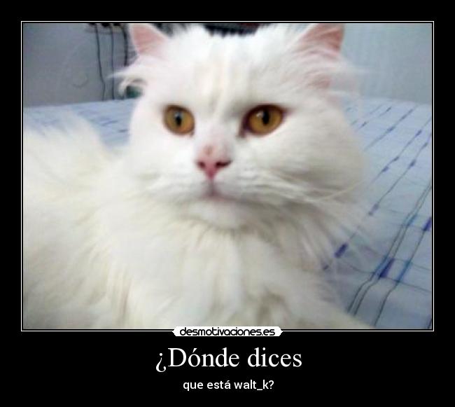 ¿Dónde dices - que está walt_k?