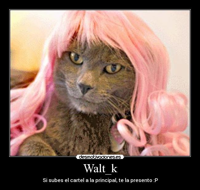 Walt_k - Si subes el cartel a la principal, te la presento :P