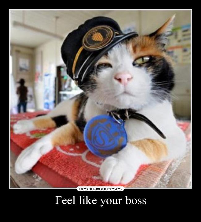 Feel like your boss - 