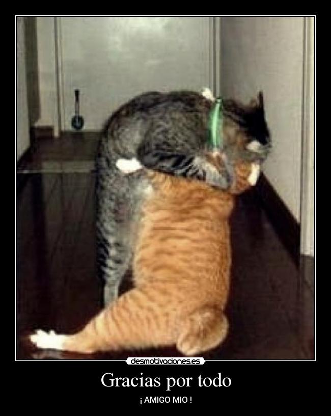 Gracias por todo - ¡ AMIGO MIO !