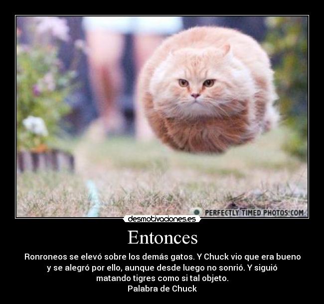 Entonces - Ronroneos se elevó sobre los demás gatos. Y Chuck vio que era bueno
y se alegró por ello, aunque desde luego no sonrió. Y siguió
matando tigres como si tal objeto.
Palabra de Chuck