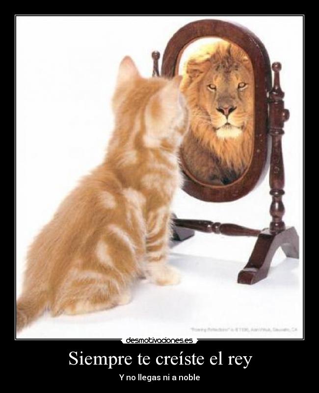Siempre te creíste el rey - 