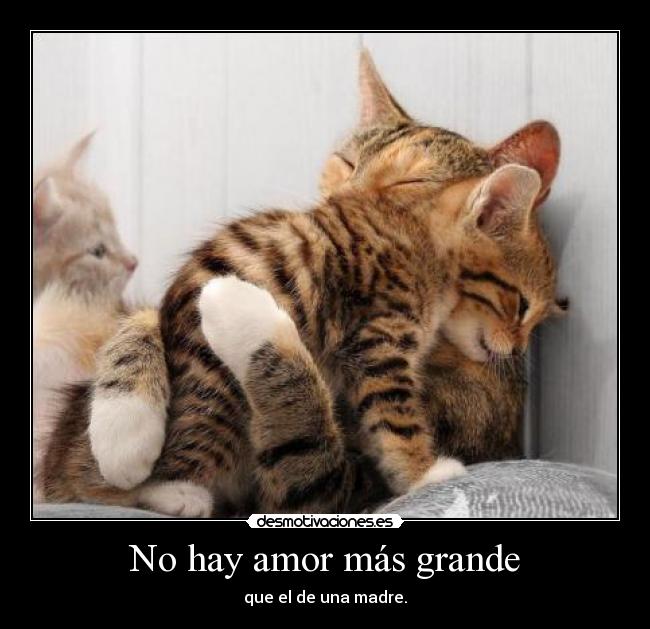 No hay amor más grande - 