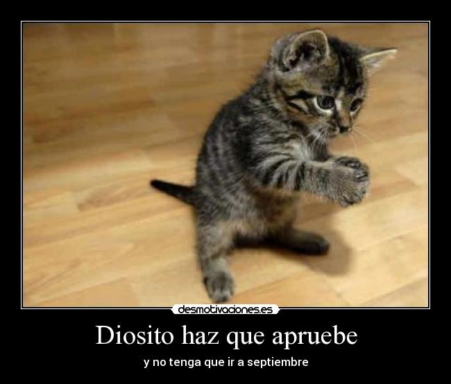 Diosito haz que apruebe - 