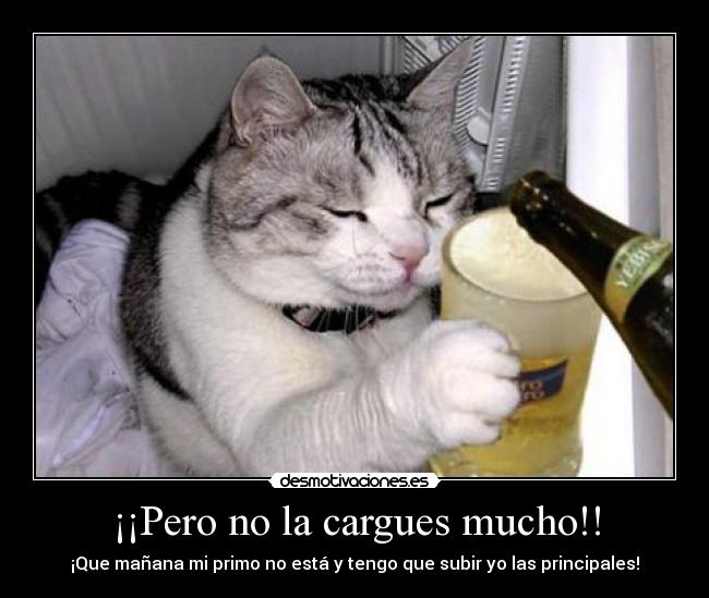 carteles gatos desmotivaciones
