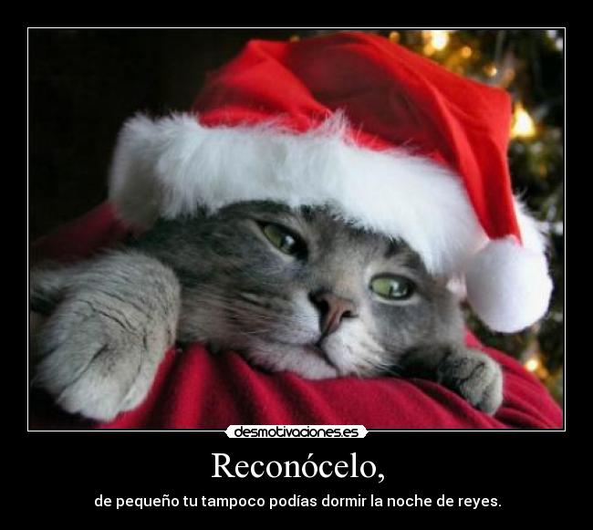 Reconócelo, -