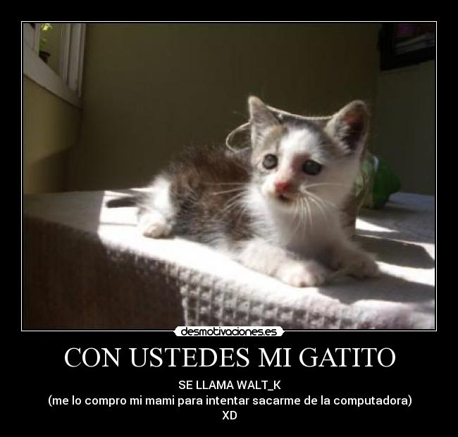 carteles walt_k desmotivaciones