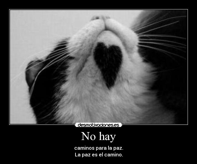 No hay -
