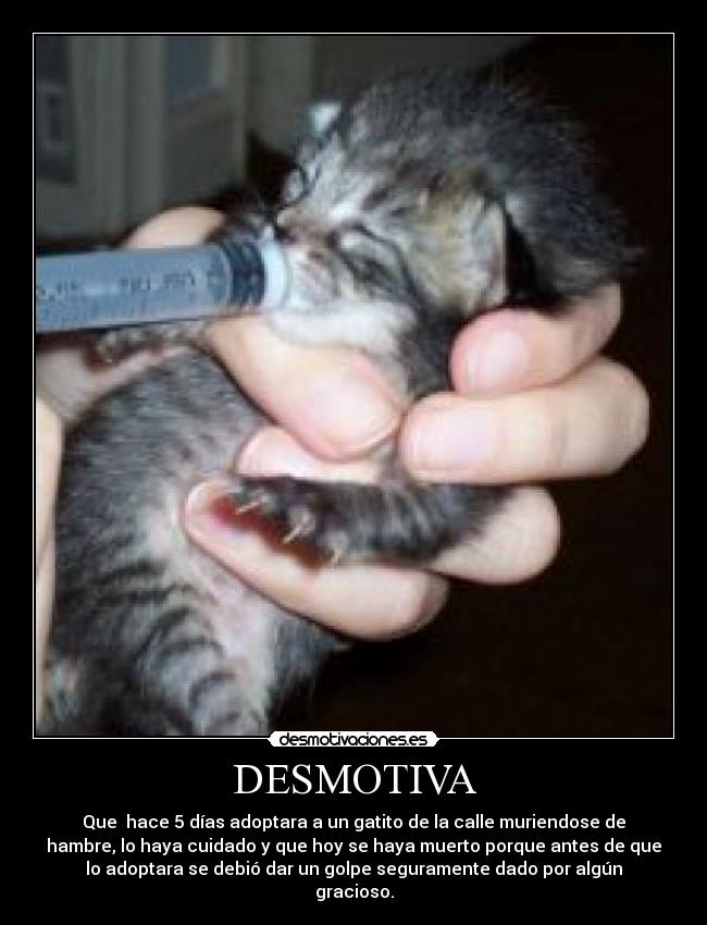 DESMOTIVA -