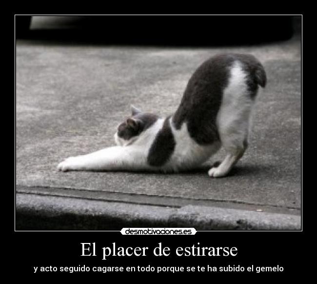 El placer de estirarse - y acto seguido cagarse en todo porque se te ha subido el gemelo