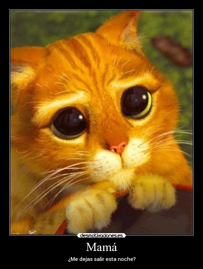 Mamá - ¿Me dejas salir esta noche?