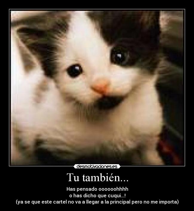 carteles 123 desmotivaciones