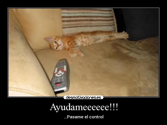Ayudameeeeee!!! - 