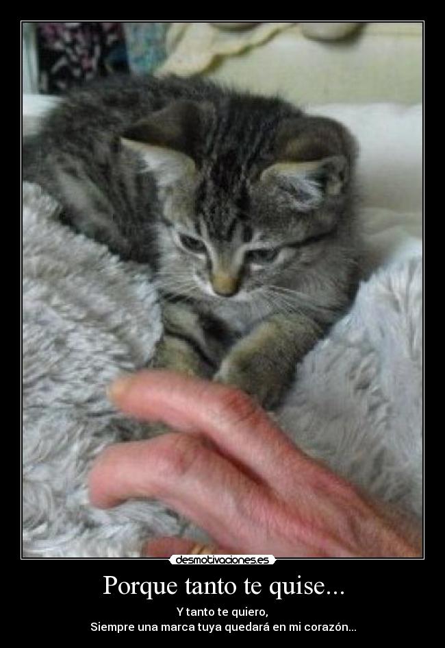 Porque tanto te quise... - 