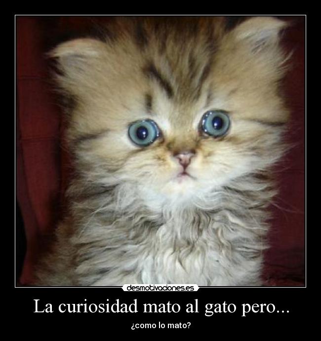 La curiosidad mato al gato pero... -