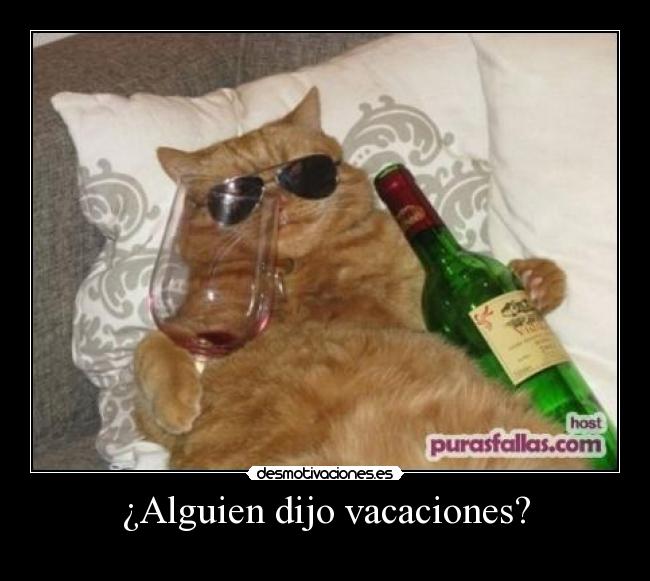 ¿Alguien dijo vacaciones? - 