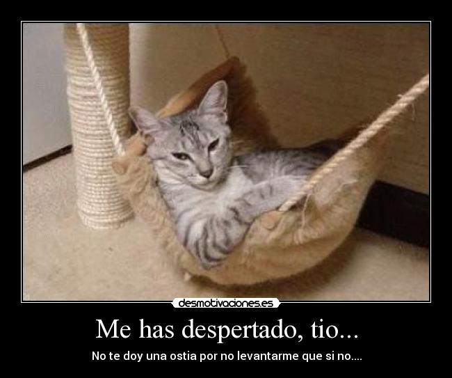 Me has despertado, tio... -