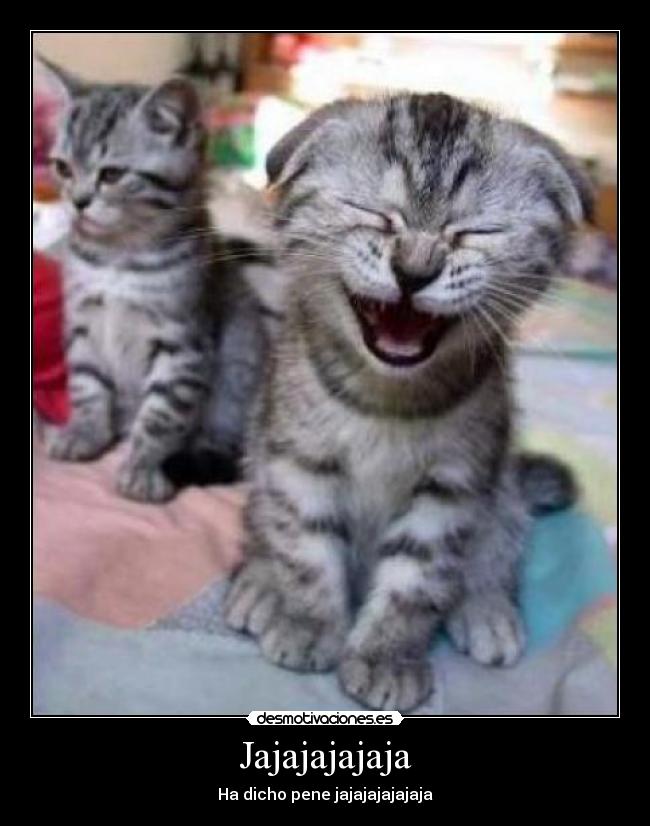 Jajajajajaja -