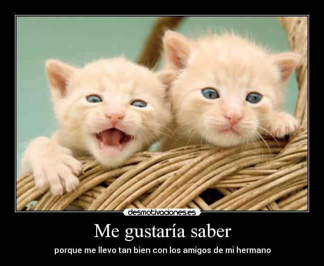 Me gustaría saber - porque me llevo tan bien con los amigos de mi hermano