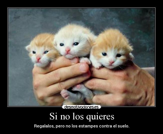 Si no los quieres - 