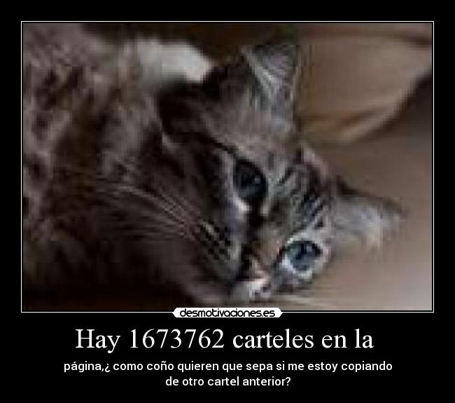 Hay 1673762 carteles en la -