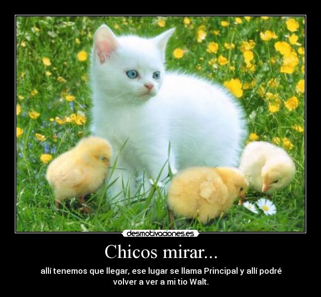 Chicos mirar... - 