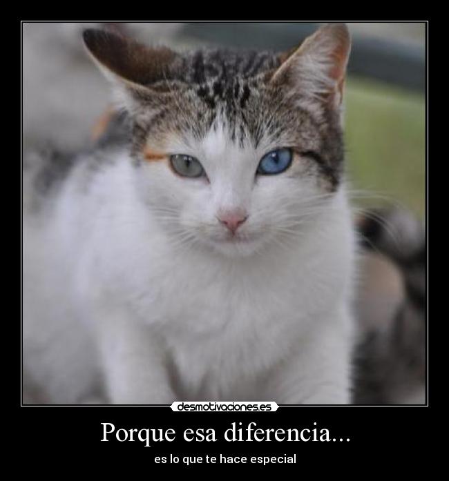 Porque esa diferencia... - es lo que te hace especial