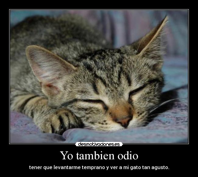 Yo tambien odio -