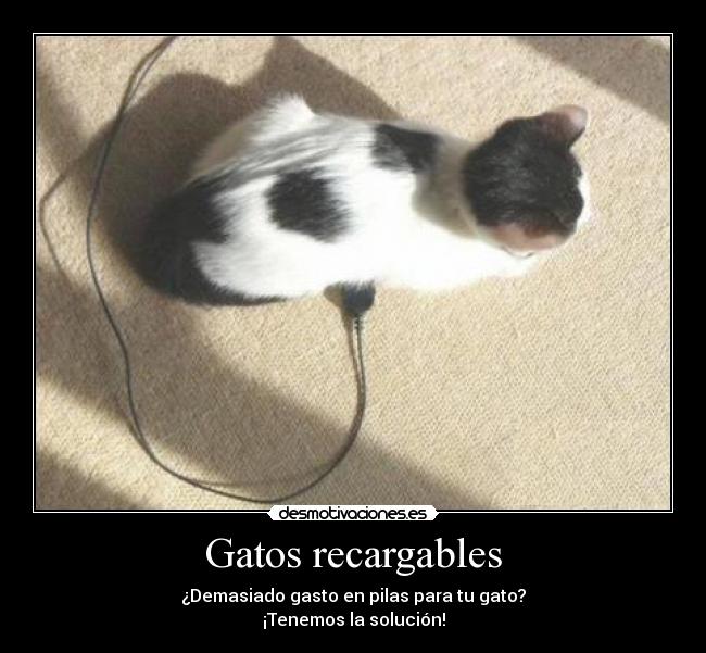 Gatos recargables - ¿Demasiado gasto en pilas para tu gato?
¡Tenemos la solución!
